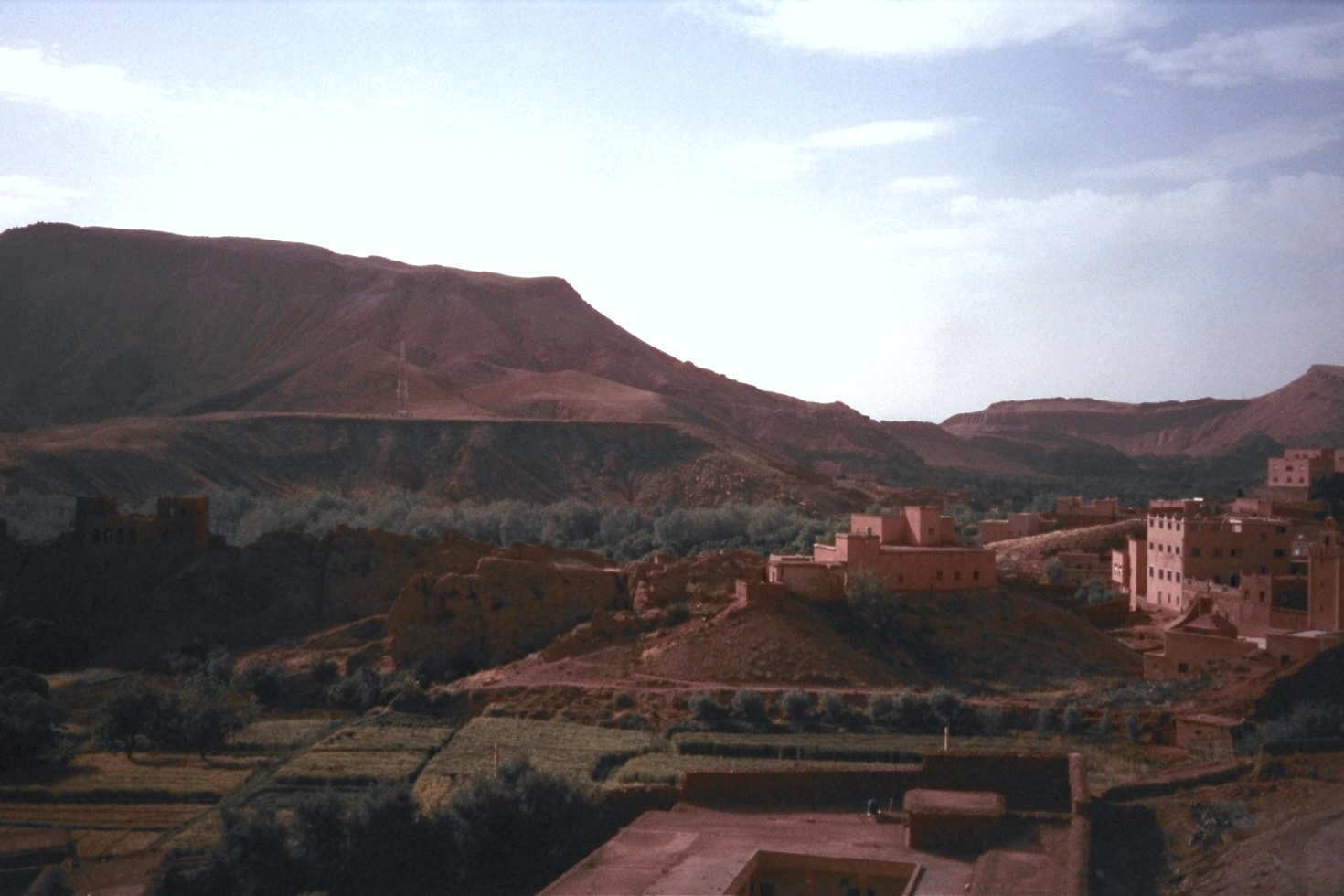 altText of the image