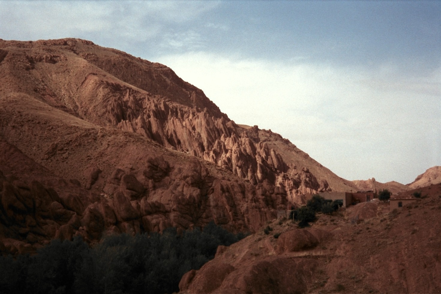 altText of the image