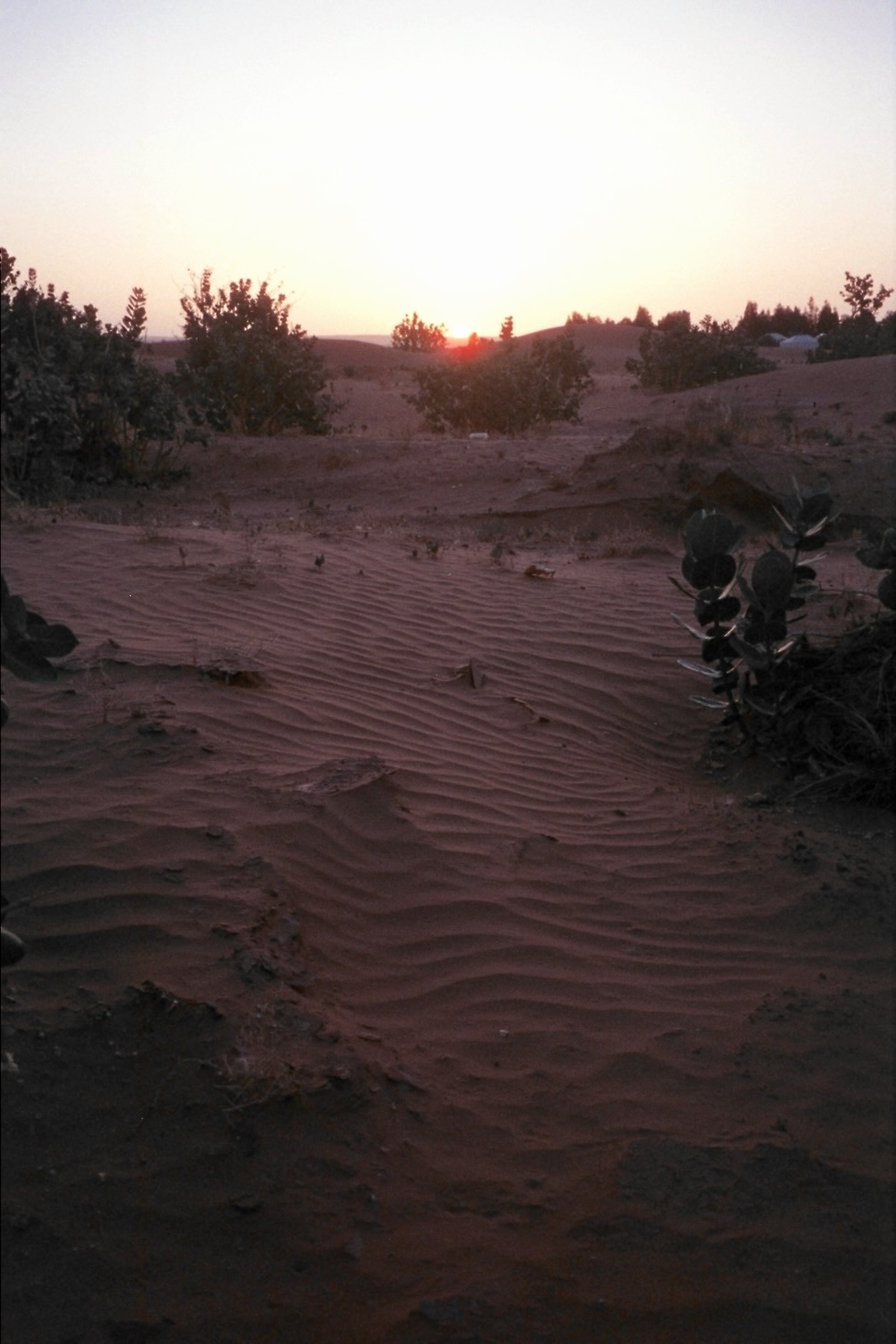 altText of the image