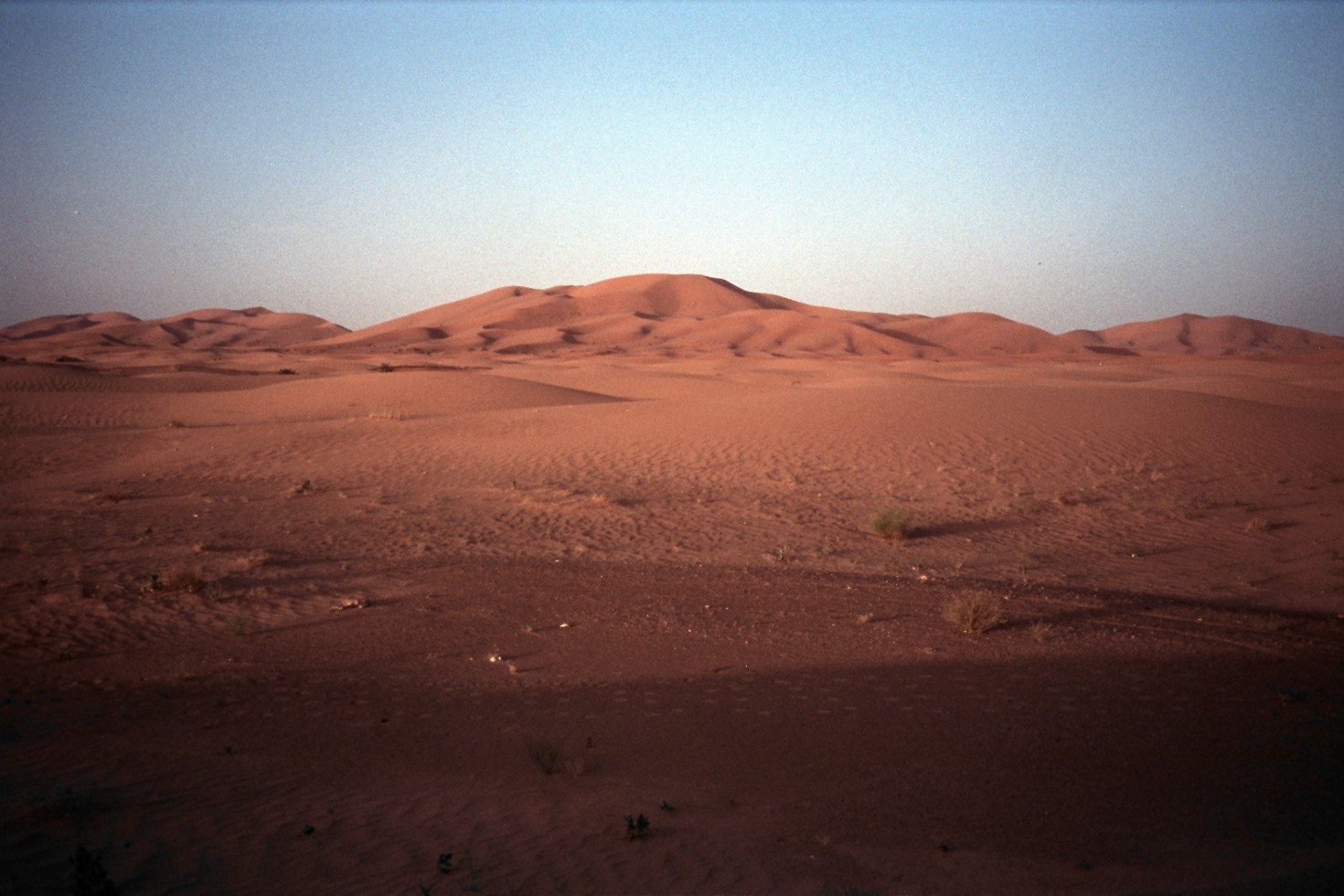 altText of the image
