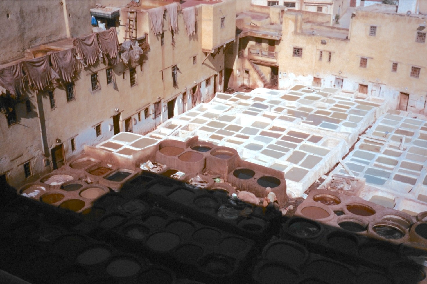 altText of the image